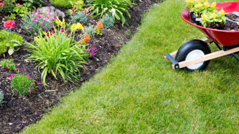 Garden Maintenance