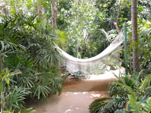 green souq tropical garden